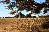 Bagan Myanmar. Dhammayangyi temple panoramic view. 